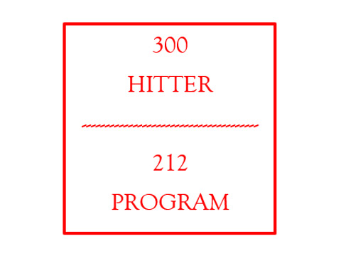 300 HITTER 212 PROGRAM